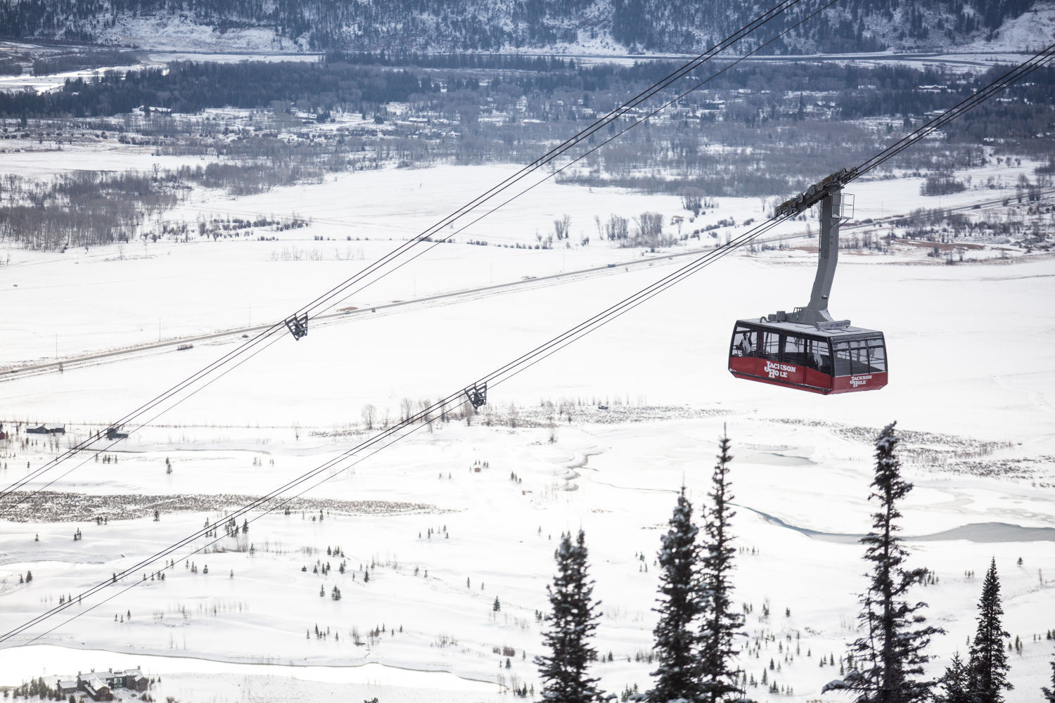 You've ridden the tram at Jackson Hole Mountain Resort